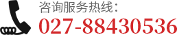 武漢建筑模型